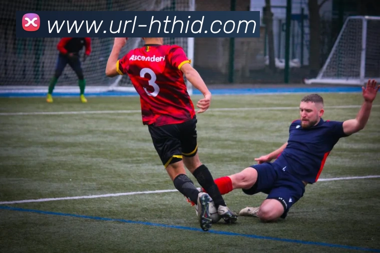 华体会体育服务体系